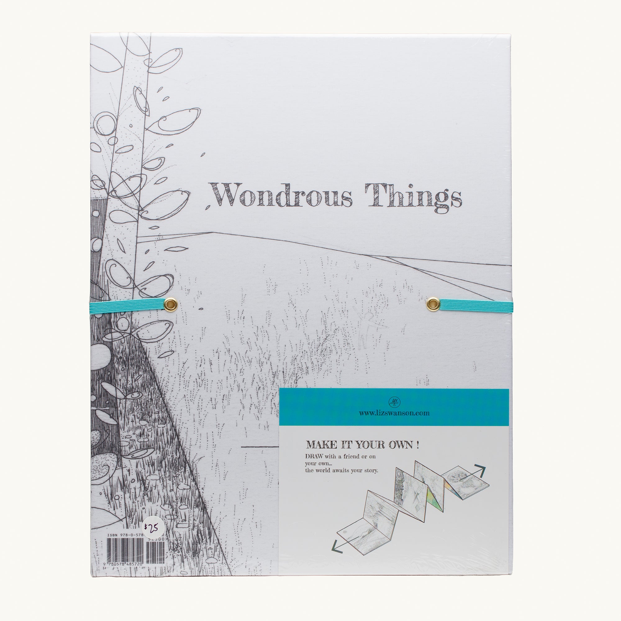Wondrous Things Book - Liz Swanson